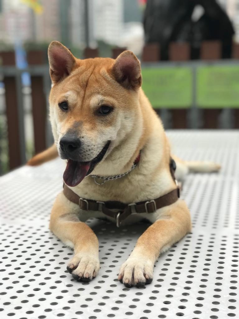 Gumbo