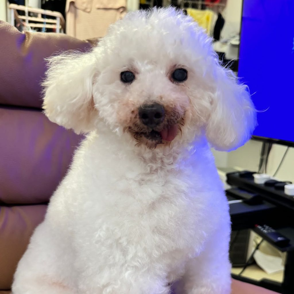 Dougal