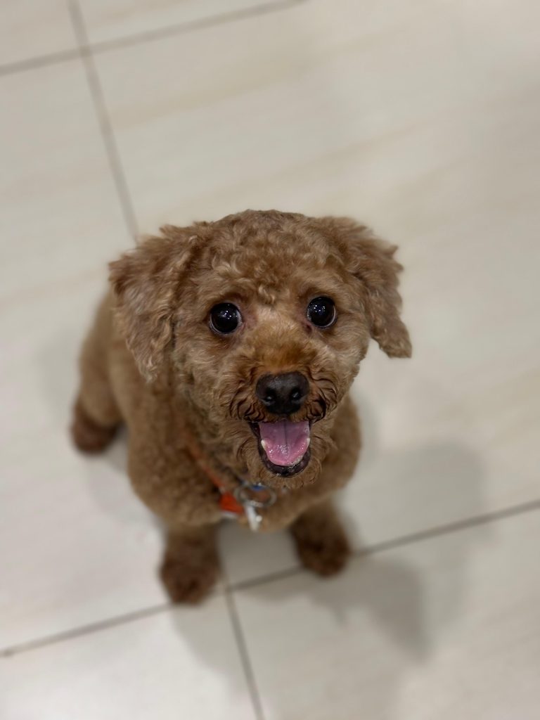 Howie
