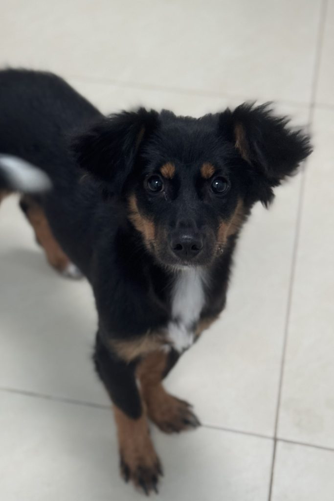 zoe
