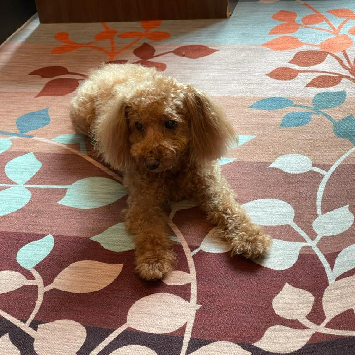 LENNY