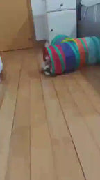 REESE & RENATA