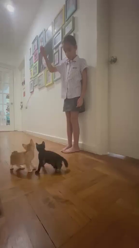 TAMMY & TIMMY