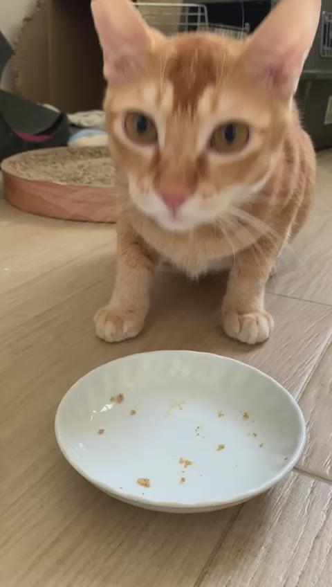 KEVIN