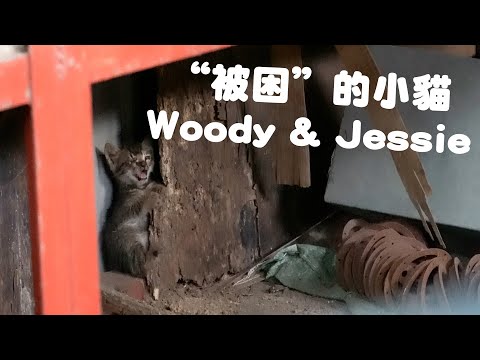 Woody