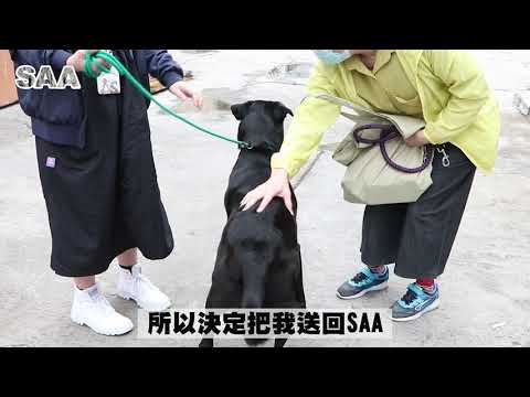 Siu Fu