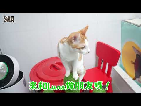 Luna