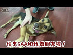 Lucy