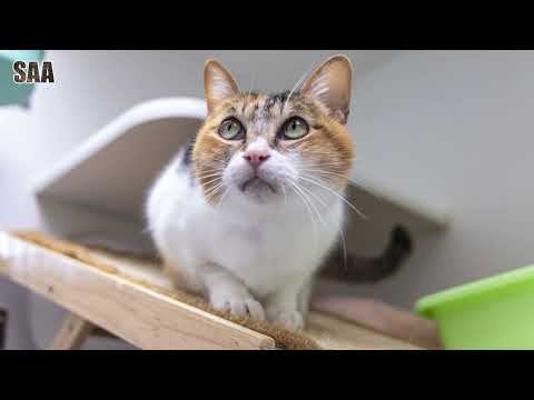 Wednesday