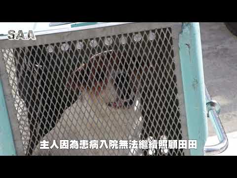 Tin Tin