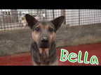 Bella