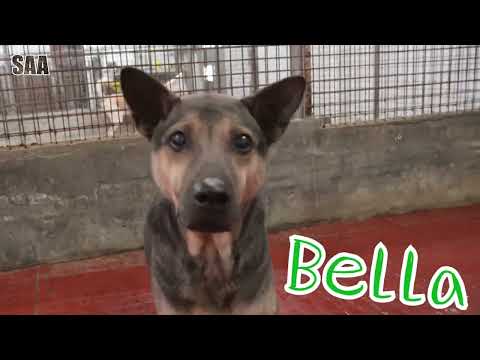 Bella