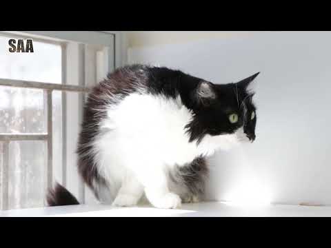 Marie