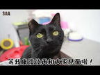 Panther